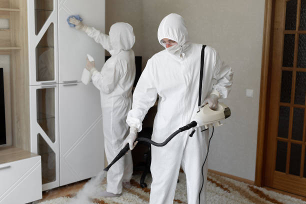 Professional Mold Remediation in San Antonio Heights, CA